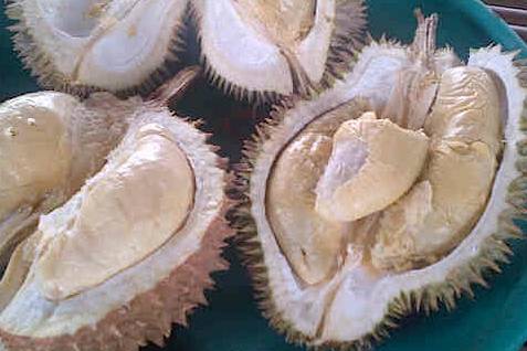 Ilustrasi buah durian./Ist